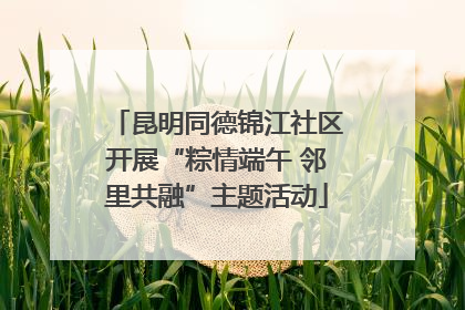 昆明同德锦江社区开展“粽情端午 邻里共融”主题活动